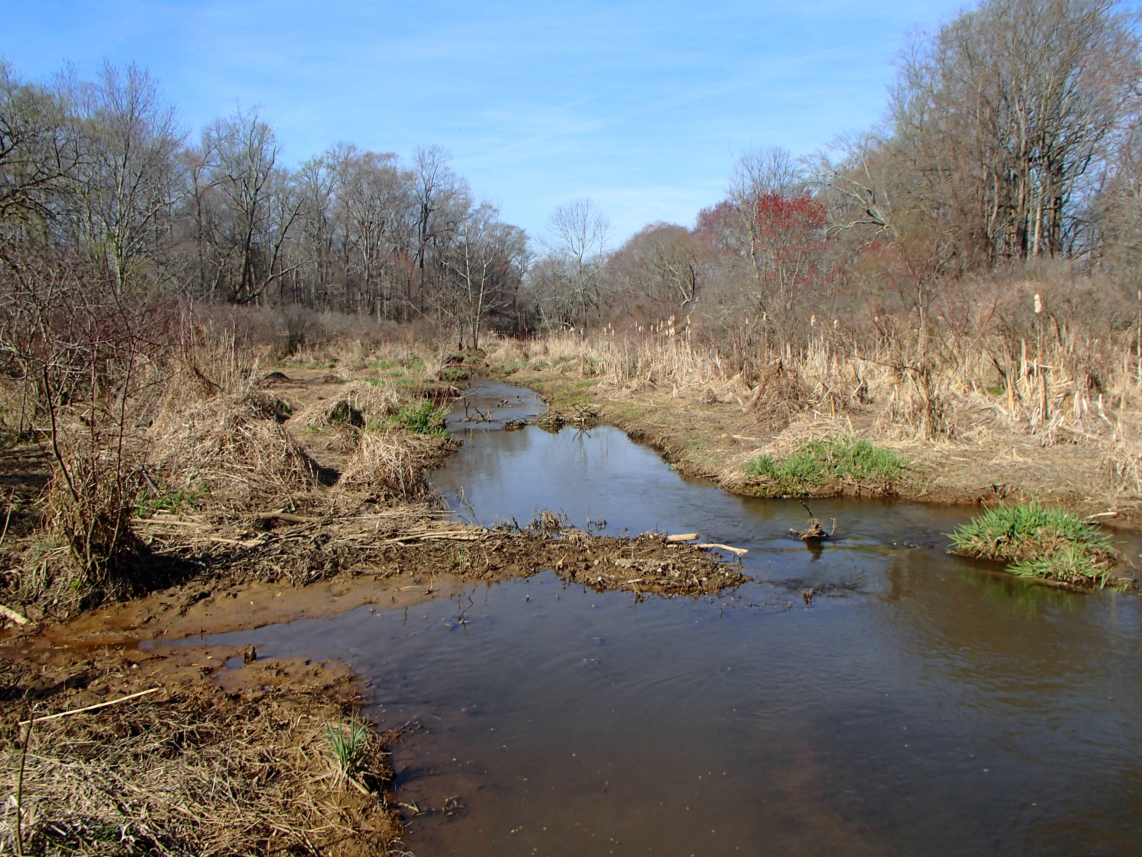 Field photo showing stream conditions at site LANG-204-R-2016_Midpoint downstream